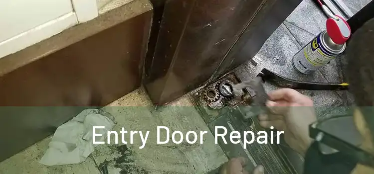  Entry Door Repair 